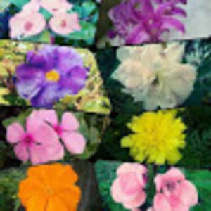 Meet your Posher, Verlyn